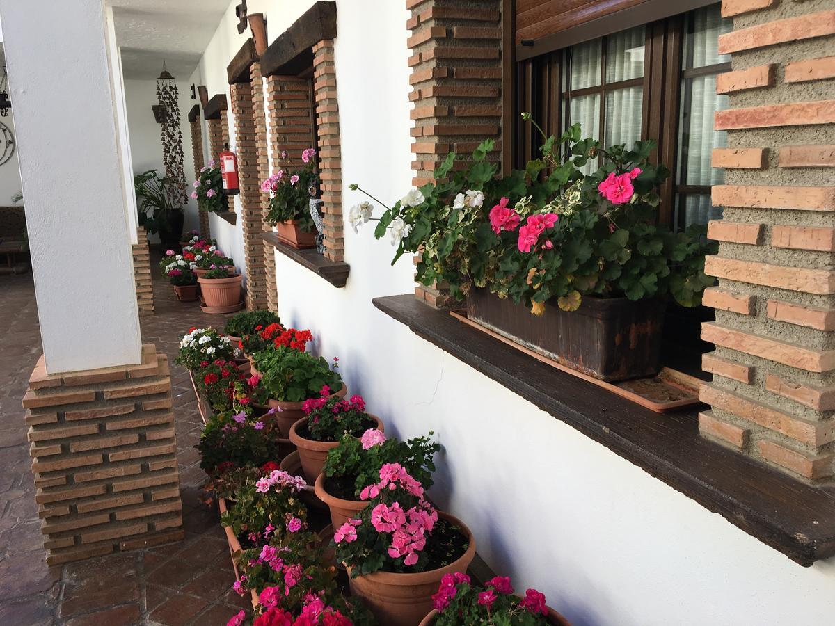 La Hacienda Del Marquesado 호텔 Albunan 외부 사진